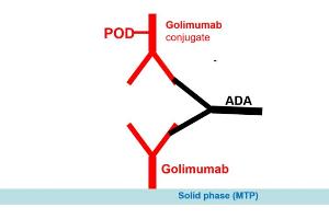Image no. 2 for Golimumab Antibody ELISA Kit (ABIN2862664)