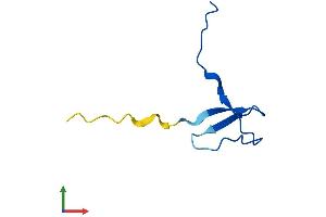 Protein Structure (PS) image for Polymerase (RNA) II (DNA Directed) Polypeptide K, 7.0kDa (POLR2K) (AA 1-58) protein (Fc Tag) (ABIN7551479)