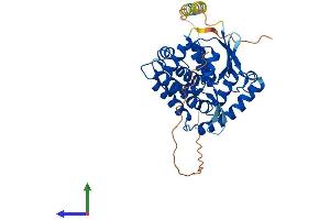 Protein Structure (PS) image for Prostaglandin E Synthase 2 (PTGES2) (AA 1-384) protein (His tag) (ABIN7558965)