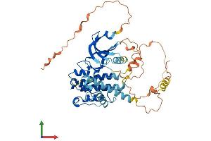 AlphaFold protein structure predicition of Human Recombinant MKNK1 Protein, UniprotID Q9BUB5