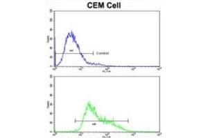 Flow Cytometry (FACS) image for anti-Immunoglobulin Heavy Constant alpha 1 (IGHA1) antibody (ABIN3003223) (IGHA1 抗体)