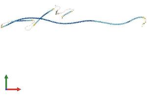 Protein Structure (PS) image for serologically Defined Colon Cancer Antigen 8 (SDCCAG8) (AA 1-713) protein (His tag) (ABIN7546009)