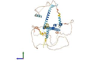 AlphaFold protein structure predicition of Human Recombinant NFE2L2 Protein, UniprotID Q16236