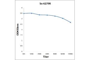 Antigen: 0. (ENPP2 抗体  (AA 131-230))