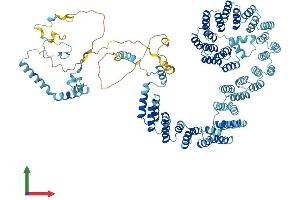 Protein Structure (PS) image for PRP6 Pre-mRNA Processing Factor 6 Homolog (PRPF6) (AA 1-941) protein (His tag) (ABIN7564824)
