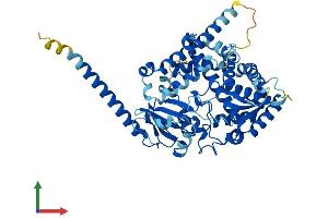 AlphaFold protein structure predicition of Human Recombinant CYP4X1 Protein, UniprotID Q8N118