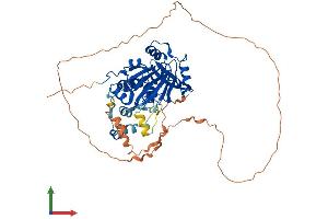 AlphaFold protein structure predicition of Human Recombinant KDM4D Protein, UniprotID Q6B0I6