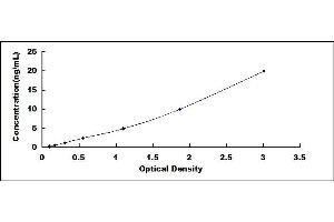 Typical standard curve (AS3MT ELISA 试剂盒)