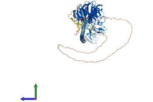 AlphaFold protein structure predicition of Human Recombinant TRIM56 Protein, UniprotID Q9BRZ2