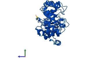 Protein Structure (PS) image for Deoxyribose-Phosphate Aldolase (DERA) (AA 1-318) protein (His tag) (ABIN7560112)