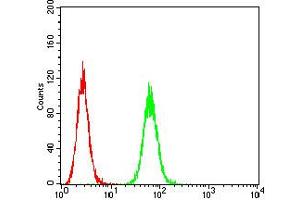 Flow cytometric analysis of Hela cells using P2RY8 mouse mAb (green) and negative control (red). (P2RY8 抗体)