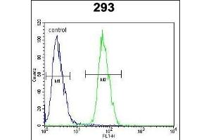 PLA2G1B Antibody (C-term) (ABIN651072 and ABIN2840059) flow cytometric analysis of 293 cells (right histogram) compared to a negative control cell (left histogram). (PLA2G1B 抗体  (C-Term))