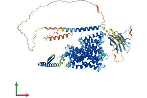 Protein Structure (PS) image for P Protein (OCA2) (AA 1-838) protein (His tag) (ABIN7555110)