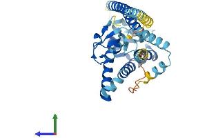 Protein Structure (PS) image for Peroxisomal Biogenesis Factor 10 (PEX10) (AA 1-324) protein (His tag) (ABIN7562031)