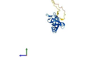 Protein Structure (PS) image for Cold Shock Domain Containing C2, RNA Binding (CSDC2) (AA 1-153) protein (His tag) (ABIN7546702)