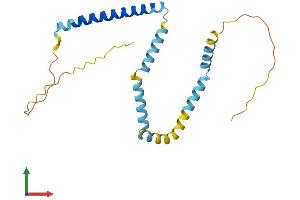 AlphaFold protein structure predicition of Human Recombinant TPD52L2 Protein, UniprotID O43399