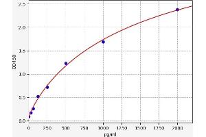 Typical standard curve (SALL4 ELISA 试剂盒)