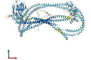 Protein Structure (PS) image for Structural Maintenance of Chromosomes 4 (SMC4) (AA 1-1288) protein (His tag) (ABIN7555577)
