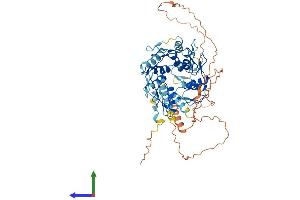 AlphaFold protein structure predicition of Human Recombinant ZNF587 Protein, UniprotID Q96SQ5