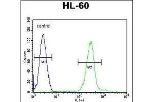 PLA2G2C Antibody (C-term) (ABIN655935 and ABIN2845327) flow cytometric analysis of HL-60 cells (right histogram) compared to a negative control cell (left histogram). (PLA2G2C 抗体  (C-Term))