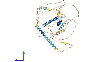 AlphaFold protein structure predicition of Mouse Recombinant Tfeb Protein, UniprotID Q9R210