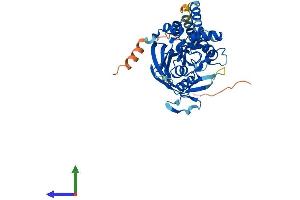 AlphaFold protein structure predicition of Human Recombinant RPUSD4 Protein, UniprotID Q96CM3