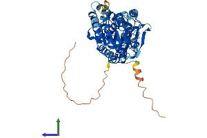 Protein Structure (PS) image for Phosphatidylinositol Glycan Anchor Biosynthesis, Class A (PIGA) (AA 1-484) protein (His tag) (ABIN7550757)