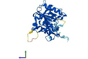 Protein Structure (PS) image for Proteasome (Prosome, Macropain) Assembly Chaperone 2 (PSMG2) (AA 1-264) protein (His tag) (ABIN7561483)