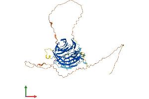 Protein Structure (PS) image for Chromatin Assembly Factor 1, Subunit B (p60) (CHAF1B) (AA 1-559) protein (His tag) (ABIN7552919)