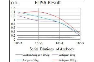 Black line: Control Antigen (100 ng), Purple line: Antigen(10 ng), Blue line: Antigen (50 ng), Red line: Antigen (100 ng), (Nestin 抗体  (AA 419-588))