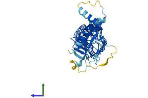 Protein Structure (PS) image for Leucine Rich Repeat Containing 28 (LRRC28) (AA 1-367) protein (His tag) (ABIN7549131)