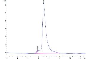 The purity of Human TIM-4 is greater than 95 % as determined by SEC-HPLC.