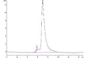 The purity of Human TIM-4 is greater than 95 % as determined by SEC-HPLC. (TIMD4 Protein (AA 25-314) (His tag))