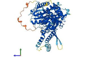 Protein Structure (PS) image for Syntaxin Binding Protein 1 (STXBP1) (AA 1-594) protein (His tag) (ABIN7546427)