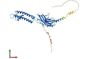 Protein Structure (PS) image for Potassium Inwardly-Rectifying Channel, Subfamily J, Member 9 (KCNJ9) (AA 1-393) protein (His tag) (ABIN7563319)