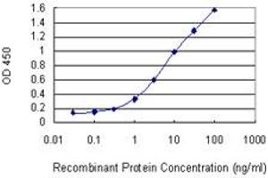 Detection limit for recombinant GST tagged EGR2 is 0. (EGR2 抗体  (AA 217-293))