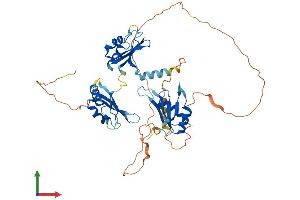 Protein Structure (PS) image for CUGBP, Elav-Like Family Member 6 (CELF6) (AA 1-481) protein (His tag) (ABIN7553308)