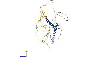 Protein Structure (PS) image for Protein L-Myc (MYCL) (AA 1-368) protein (His tag) (ABIN7562823)