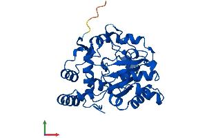 Protein Structure (PS) image for Sulfotransferase Family, Cytosolic, 1A, Phenol-Preferring, Member 2 (SULT1A2) (AA 1-295) protein (His tag) (ABIN7546469)