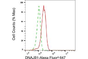 Flow cytometric analysis of DNAJB1 expression in HepG2 cells using DNAJB1 antibody (ABIN7798375), 1:2,000). (DNAJB1 抗体)