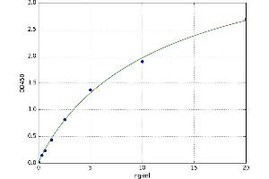 A typical standard curve (KPNA2 ELISA 试剂盒)