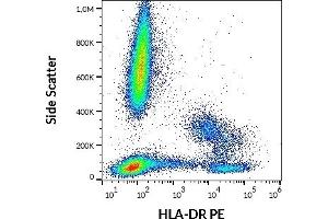 Flow cytometry surface staining pattern of human peripheral whole blood stained using anti-human HLA-DR (L243) PE antibody (10 μL reagent / 100 μL of peripheral whole blood). (HLA-DR 抗体  (PE))