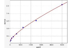 Typical standard curve (IL12RB1 ELISA 试剂盒)