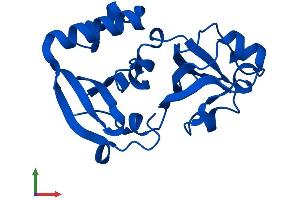 Protein Structure (PS) image for Malignant T Cell Amplified Sequence 1 (MCTS1) (AA 1-181) protein (His tag) (ABIN7554545)