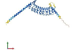 Protein Structure (PS) image for Leucine Rich Repeat Containing 39 (LRRC39) (AA 1-335) protein (His tag) (ABIN7549161)
