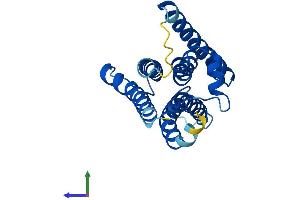 Protein Structure (PS) image for Phosphatidylinositol Glycan F (PIGF) (AA 1-219) protein (His tag) (ABIN7550702)