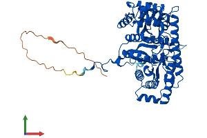 Protein Structure (PS) image for Glutamic Pyruvate Transaminase (Alanine Aminotransferase) 2 (GPT2) (AA 1-522) protein (His tag) (ABIN7558582)