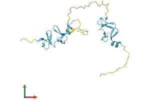 Protein Structure (PS) image for Cysteine and Glycine-Rich Protein 1 (CSRP1) (AA 1-193) protein (His tag) (ABIN7556781)