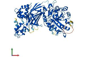 Protein Structure (PS) image for Phospholipase C zeta 1 (PLCz1) (AA 1-608) protein (His tag) (ABIN7554959)