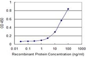 Detection limit for recombinant GST tagged ZNF483 is 1 ng/ml as a capture antibody. (ZNF483 抗体  (AA 142-230))